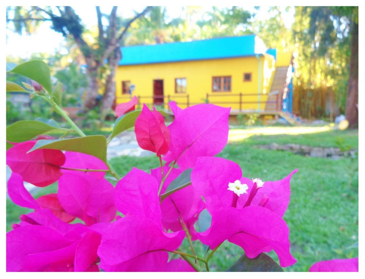 Livingston Resort Hotel Esterno foto