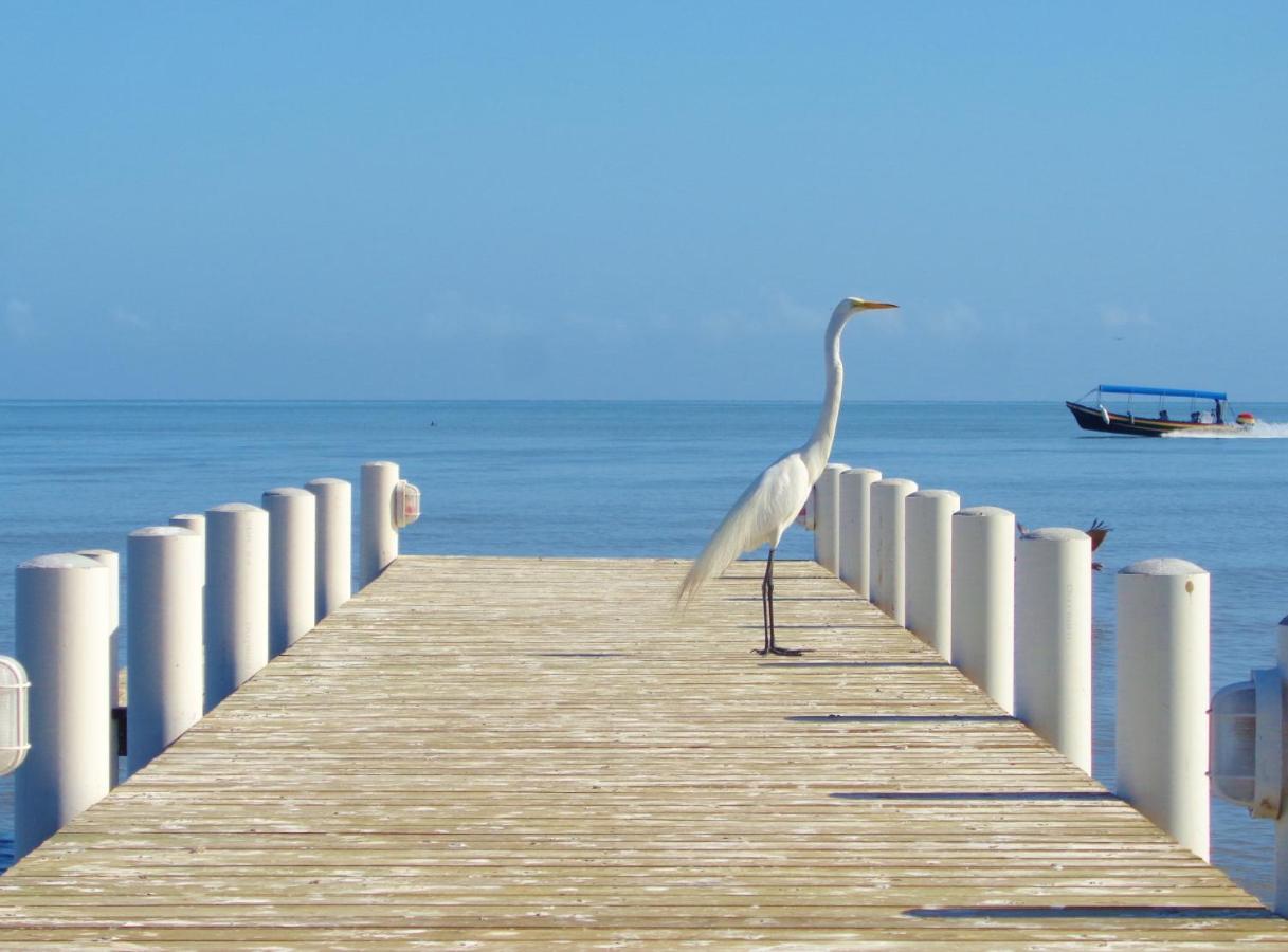 Livingston Resort Hotel Esterno foto